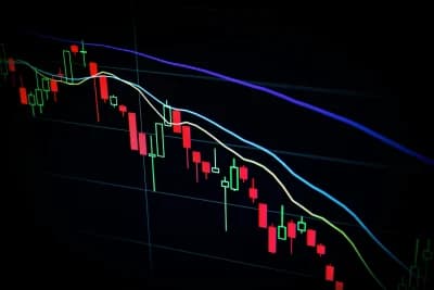 Digital Assets
